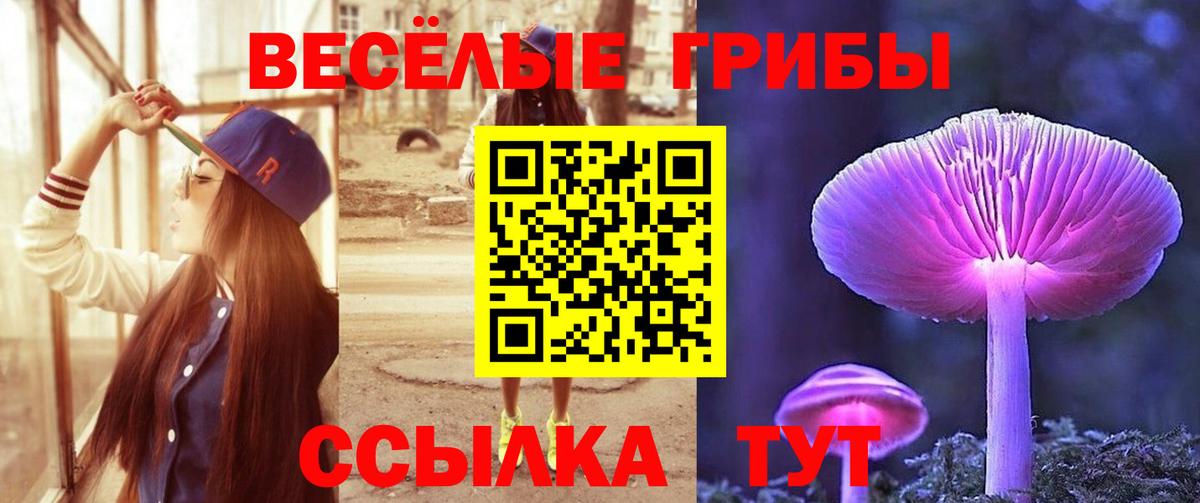 Галлюциногенные грибы GOLDEN TEACHER  Вход с VPN  Коммунар 